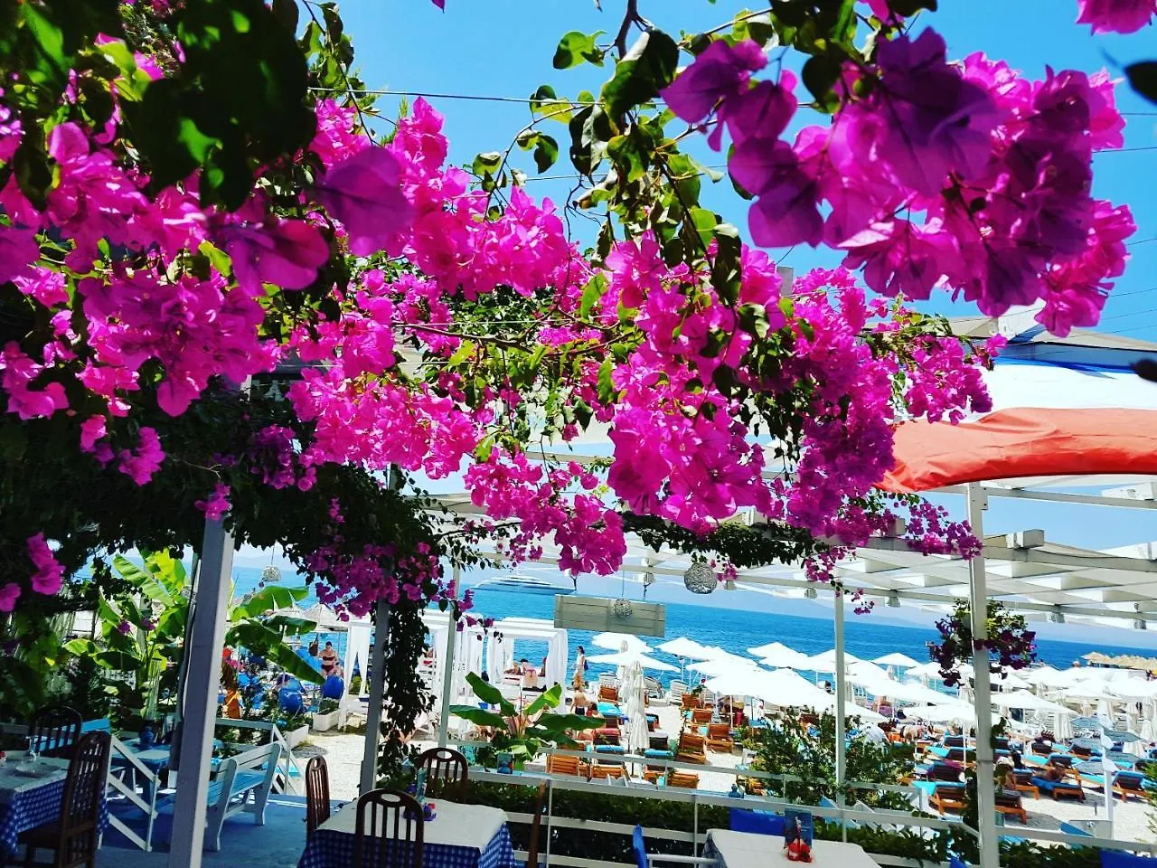Dream Hotel Saranda